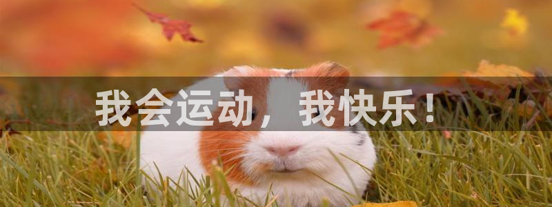 vsport体育官网下载平台注册流程视频：我会运动，我快乐！