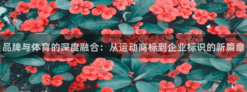 vsport体育官网下载招商电话是多少号码：品牌与体