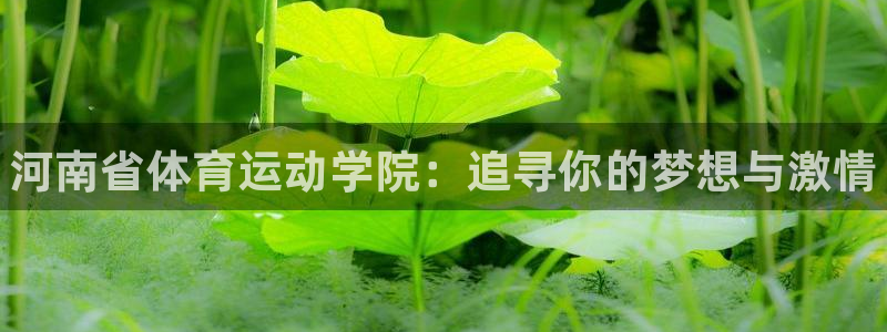 vsport体育官方正版app代理：河南省体育运动学院：追寻