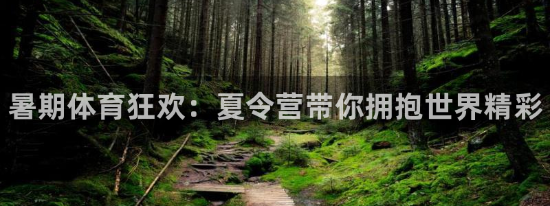 vsport体育官网下载平台注册要钱吗安全吗：暑期体