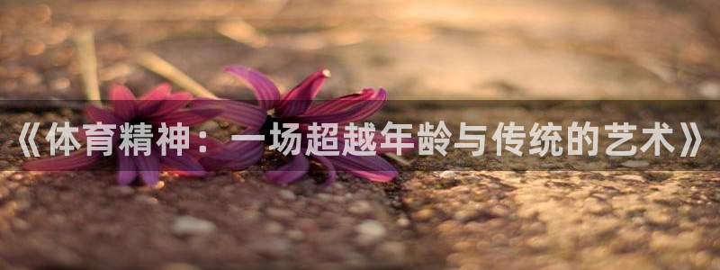 vsport体育官网下载招商电话