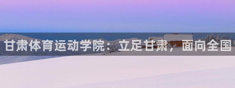 vsport体育官方正版app集团简介