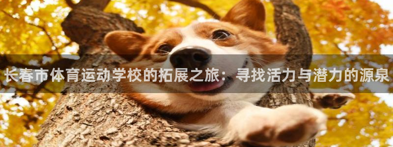 vsport体育官方正版app科技