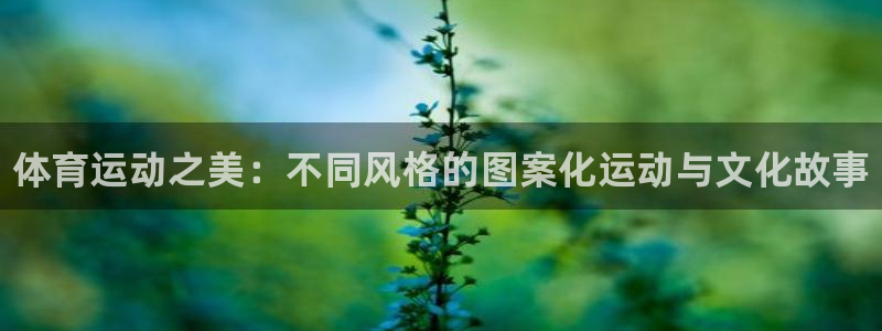 vsport体育官网下载注册：体育运动之美：不同风格