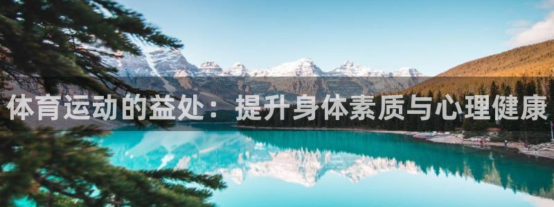 德国vsport体育官方正版app集团：体育运动的益