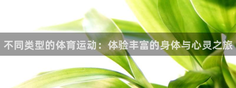 vsport体育官方正版app集团：不同类型的体育运