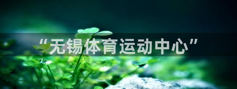vsport体育官网下载是干嘛的公司：“无锡体育运动