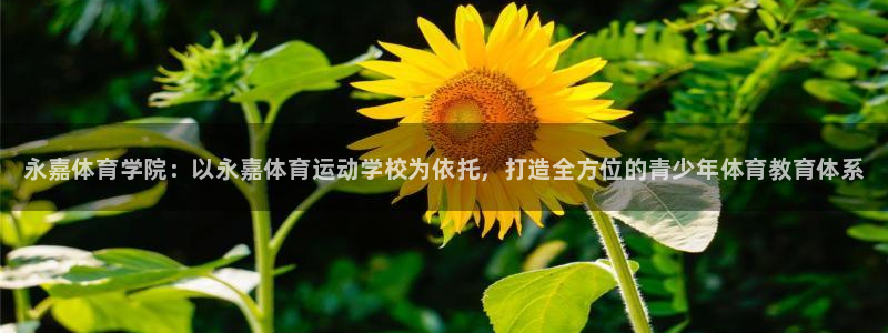 vsport体育官方正版app娱乐网站：永嘉体育学院