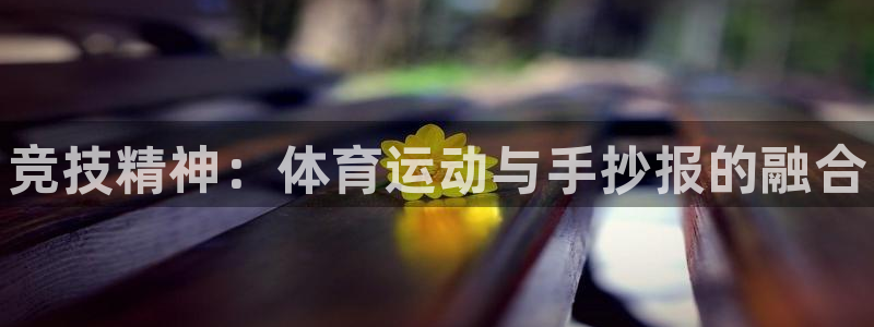 vsport体育官方正版app新能源：竞技精神：体育运动与手