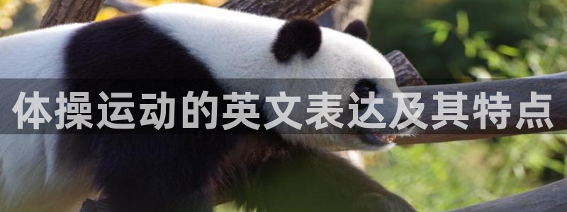 vsport体育官网下载娱乐：体操运动的英文表达及其特点