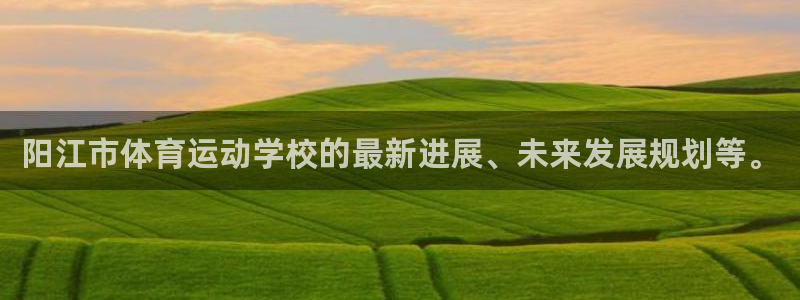 vsport体育官方正版app集团logo：阳江市体育运动学