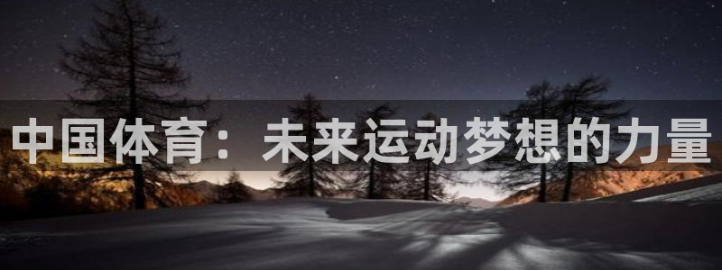 vsport体育官方正版app娱乐