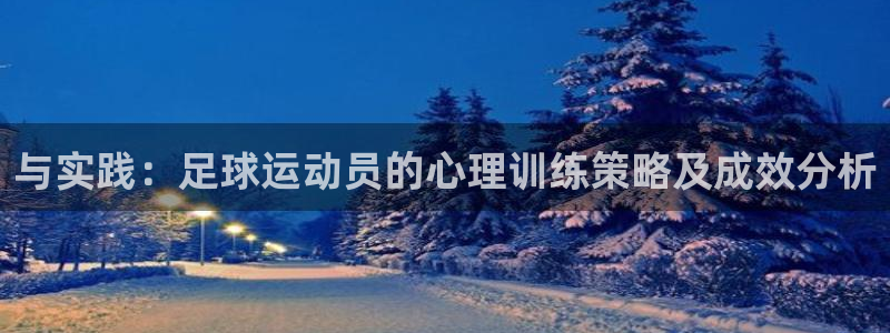 vsport体育官方正版app集团简介：与实践：足球运动员的