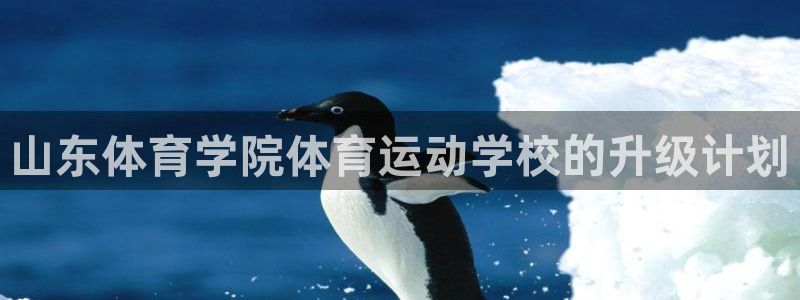 vsport体育官网下载招商电话地址查询：山东体育学院体育运