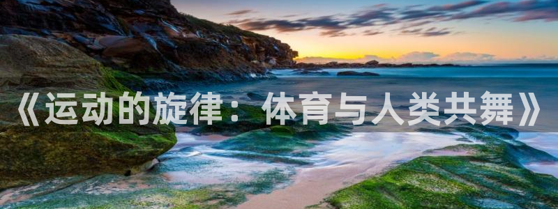 海南vsport体育官网下载发展怎么样：《运动的旋律：体育与