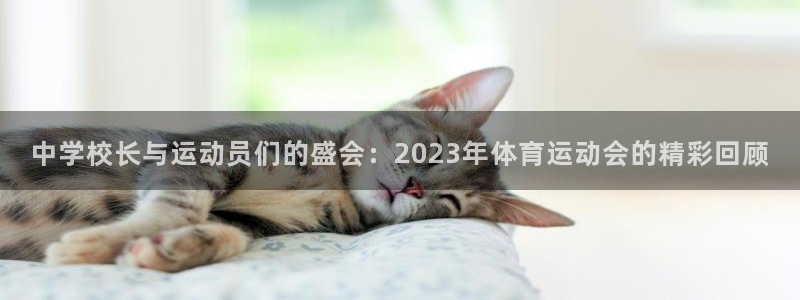 vsport体育官网下载招商电话号码是多少啊：中学校