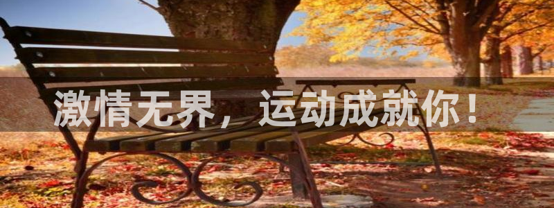 vsport体育官方正版app娱乐代理怎么样：激情无