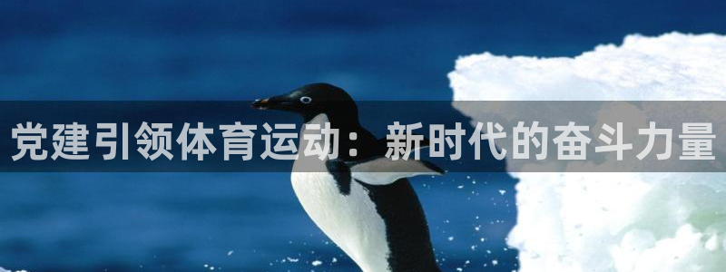 vsport体育官方正版app五金厂：党建引领体育运动：新时