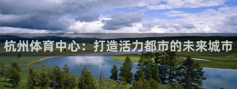 德国vsport体育官方正版app集团