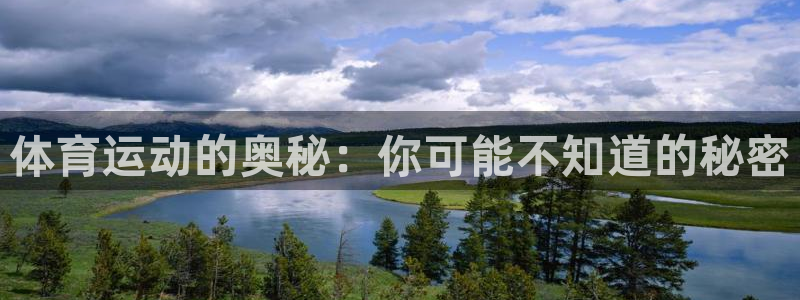 vsport体育官方正版app集团简介：体育运动的奥秘：你可