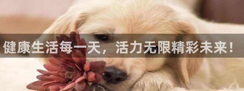 vsport体育官网下载软件