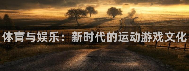 vsport体育官网下载是干嘛的公司：体育与娱乐：新时代的运