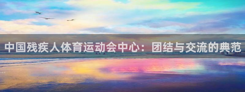 vsport体育官方正版app集团：中国残疾人体育运