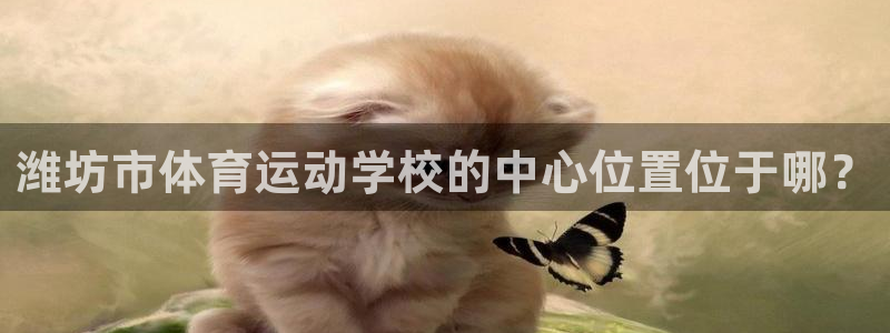 vsport体育官方正版app娱乐