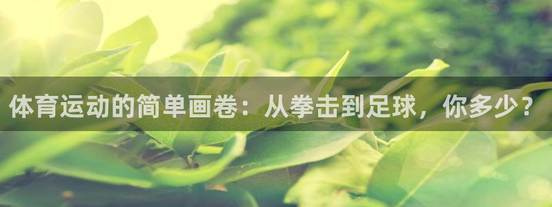 vsport体育官方正版app五金厂：体育运动的简单画卷：从