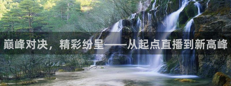 51视频在线直播nba：巅峰对决，精彩纷呈——从起点直播到新高峰