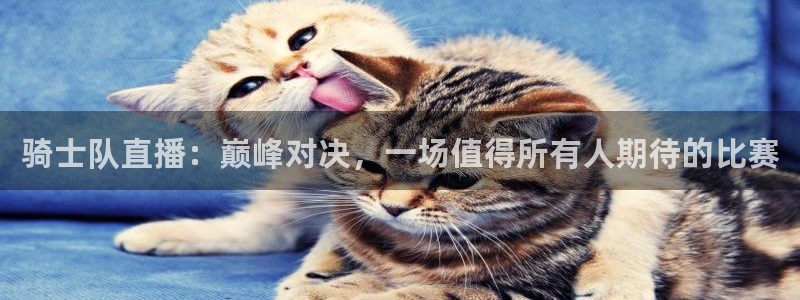 51视频在线直播nba：骑士队直播：巅峰对决，一场值得所有人期待的比赛