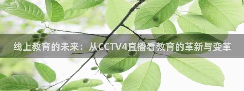 51视频在线直播nba：线上教育的未来：从CCTV4直播看教育的革新与变革