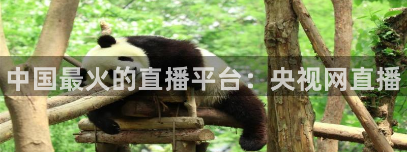 51视频在线直播nba：中国最火的直播平台：央视网直播